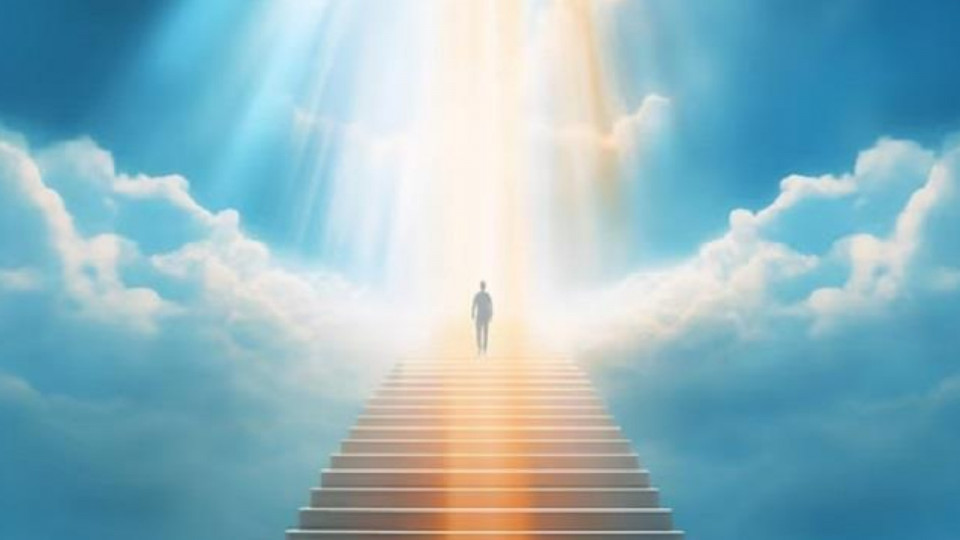 11 min after death 11 min after death