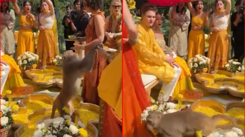 Viral Video Viral Video