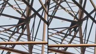 शादी से इनकार के बाद हाई टेंशन टावर चढ़ा युवक, कई घंटे तक चला ड्रामा