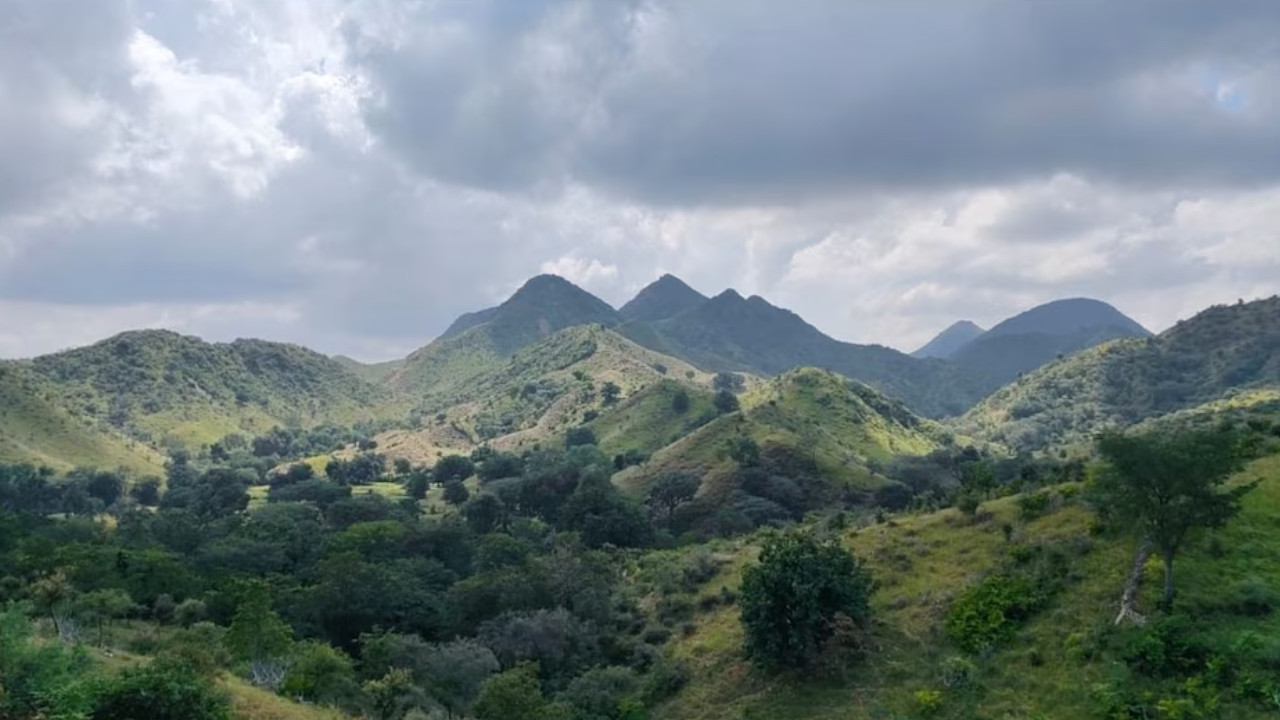 अरावली के बिना कैसा होगा उत्तर भारत? जानिए क्यों हैं ये पहाड़ियां इतनी जरूरी