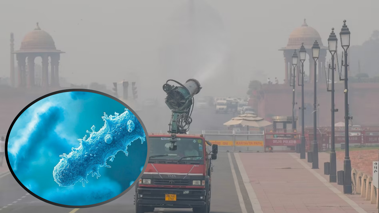 सांस की बीमारियों की दोहरी मार: दिल्ली-NCR में प्रदूषण के बाद, अब हवा में दवा-प्रतिरोधी बैक्टीरिया सांस की बीमारियों की दोहरी मार: दिल्ली-NCR में प्रदूषण के बाद, अब हवा में दवा-प्रतिरोधी बैक्टीरिया