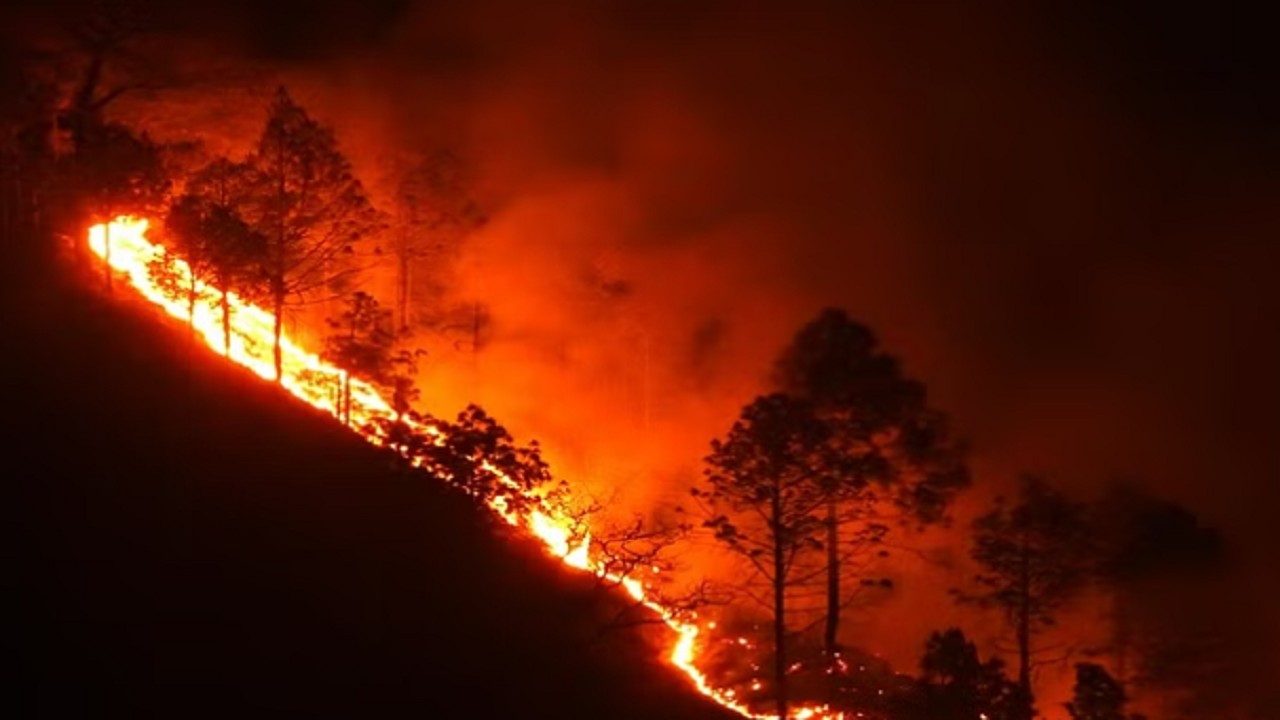 उत्तराखंड में जंगल में लगी आग नैनीताल के रिहाइशी इलाकों तक फैली, बोटिंग हुई बंद, प्रशासन अलर्ट