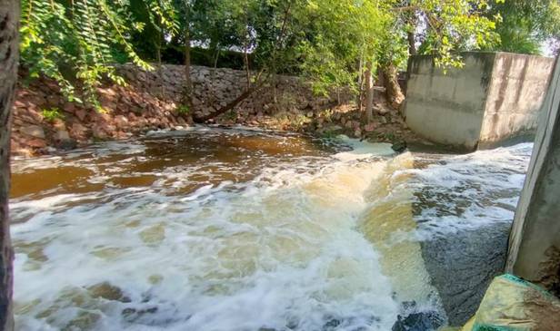 राजस्थान: केवलादेव नेशनल पार्क के लिए अच्छी खबर, गोवर्धन ड्रेन से मिलने लगा पानी