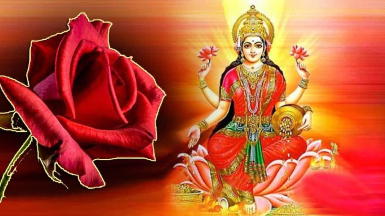 Vastu tips: This remedy of rose will change your luck, there will be rain of money