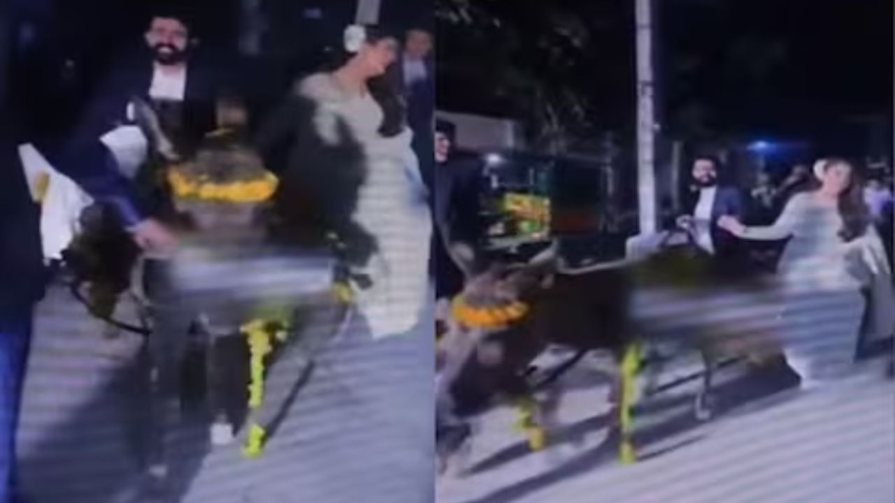 In Pakistan, a couple entered their wedding sitting on a donkey cart, people were surprised to see the video